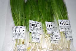 促成栽培の行者ニンニクを買ってきました