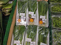 売れ残って半額セール中の行者ニンニクです