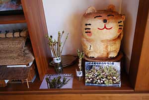 大源太農園のコーナーを作っていただきました