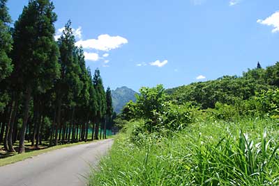 今日も大快晴です。