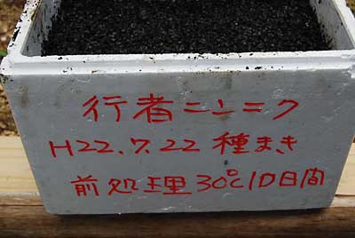 箱に内容を記述しました。