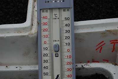 杉林の中の気温は２７度でした。