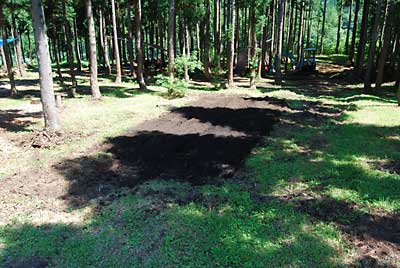 タラの木畑の耕耘完了しました。