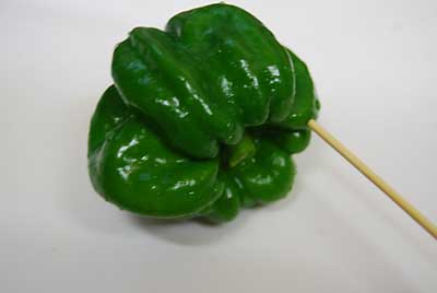 竹串で穴を５カ所あけました。