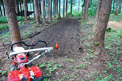 管理機のポチで畝立てをします。