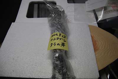 さっそく、濡れた新聞紙にくるんで冷蔵庫の野菜貯蔵室へ。