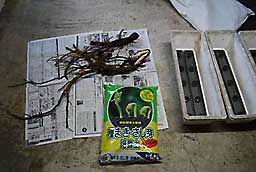 差し芽用の専用の土を購入してきました