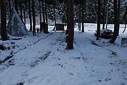雪が少し残っていましたが、とりあえず仮にマルチを掛けました。