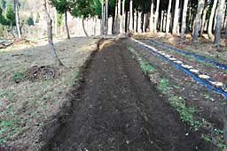 At