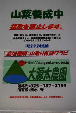 定植の説明看板を明日立てようと思っています。